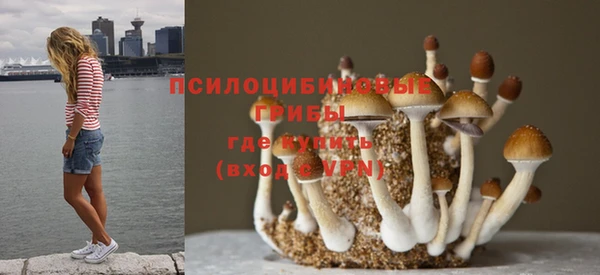 крисы Балабаново