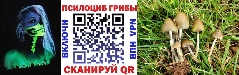 OMG зеркало Шуя Псилоцибиновые грибы Magic Shrooms где можно купить наркотик